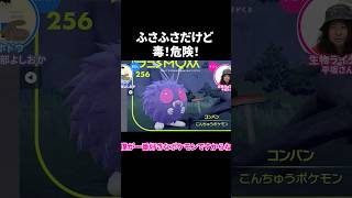 平坂寛　一番好きなポケモン「コンパン」【ポケモンSV／ゲームさんぽ】