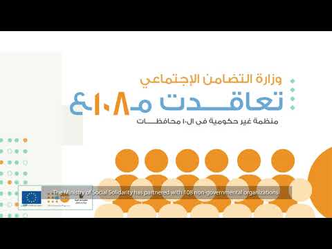 EU Support of Egypt's National Population Strategy - Highlights of Year 2