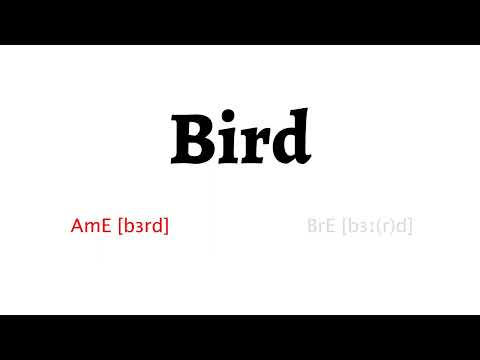 How to Pronounce bird in American English and British English