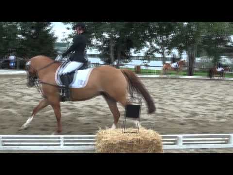 Tascha & Star Reiterwettbewerb Bodelshausen 20.09.15