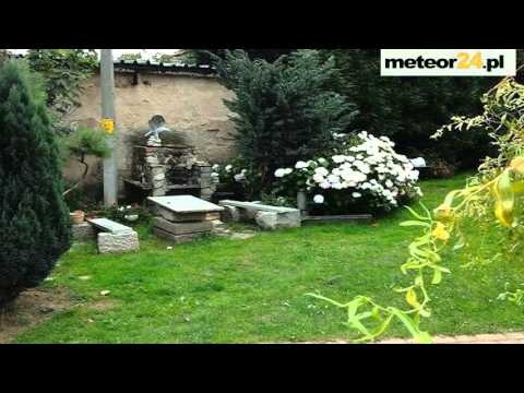 Agroturystyka Pod Dębem - Imbramowice meteor24.pl