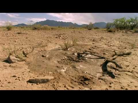 Phase Change Video #3 - Amplify