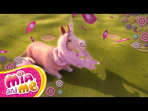 🦄💖Les grands moments de la troisième saison 18- Mia et moi 💖