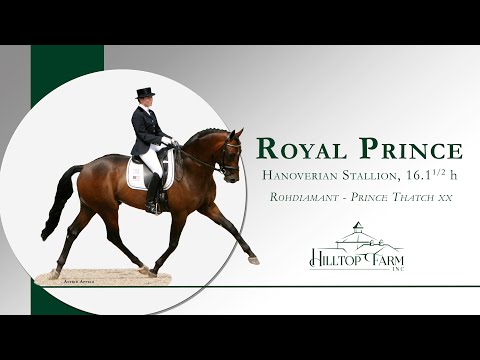 Royal Prince (Rohdiamant - Prince Thatch xx), FEI dressage stallion, 5x USEF Sire of the Year