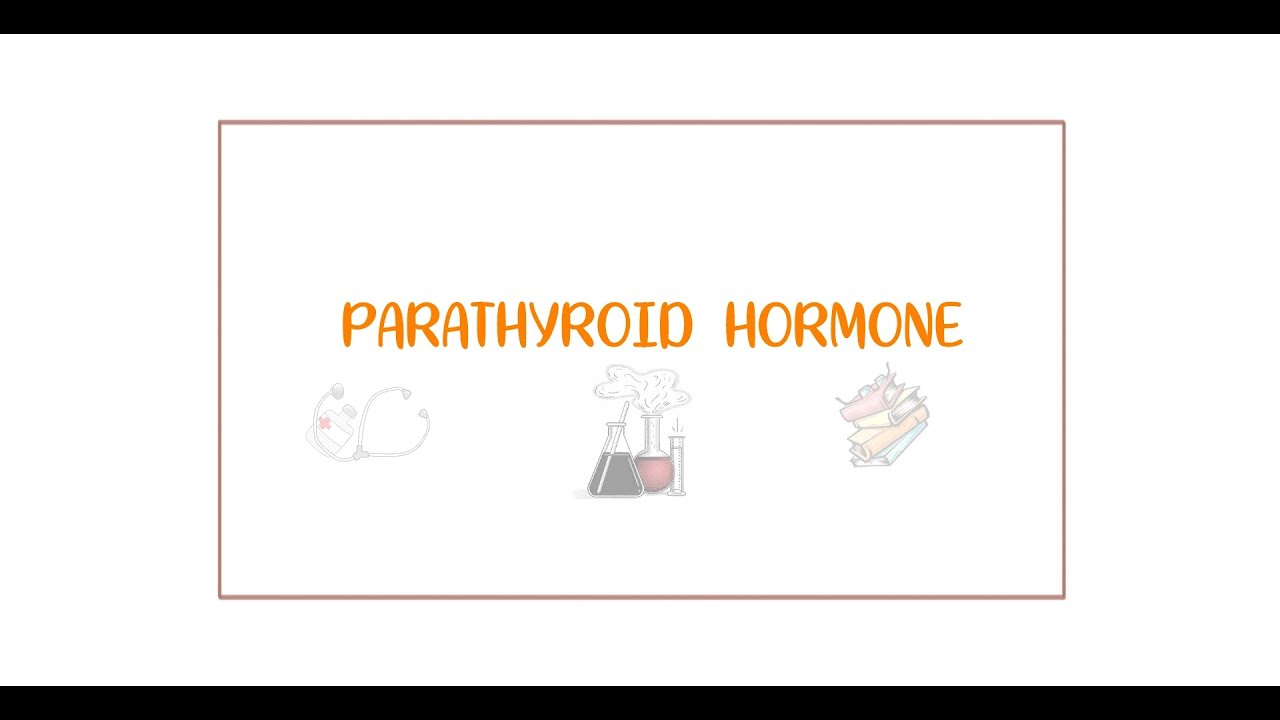 Parathyroid Hormone Made Easy - YouTube