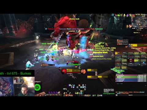 War Ensemble vs Gruul - Heroic (Hunter PoV)
