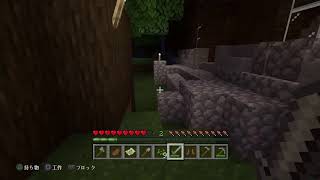 [マイクラ]　女性配信　今日はじめました笑