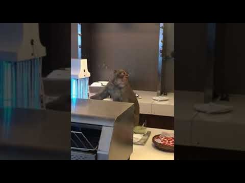 Youtube Video Youtube Video