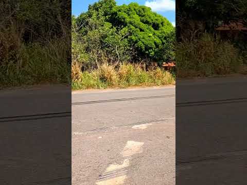 Capinzal do Norte-MA.