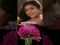 🌸💖🎶Poosindi Poosindi Punnaga🌸💖🎶#SeetharamaiahGariManavaralu #SPB #KSChithra #MMKeeravani #Veturi