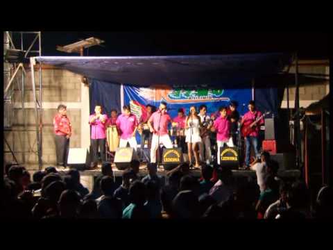 PARRANDA INSTRUMENTAL  - GRUPO RITMO SENSUAL