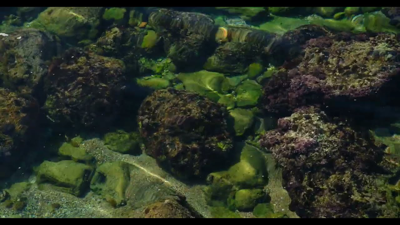 Relaxing sea stock videos - free download 4K