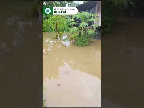 Alerta en Bojayá, Chocó, por inundaciones