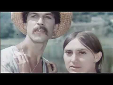 Moraman – Вібрувати | RasCure | GarryMan | Sun