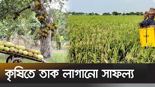 কৃষিতে মডেল ব্রাহ্মণবাড়িয়া জেলার বিজয়নগর উপজেলা