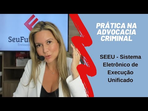 SEEU execução penal