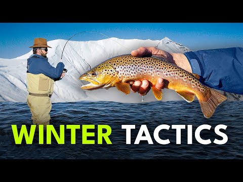 Proven Winter Fly Fishing Tips & Tactics — How to Succeed