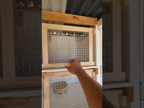 Pigeon Breeding Boxes 😍🔨👍