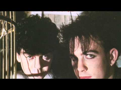 The Cure - The Lovecats (HD)