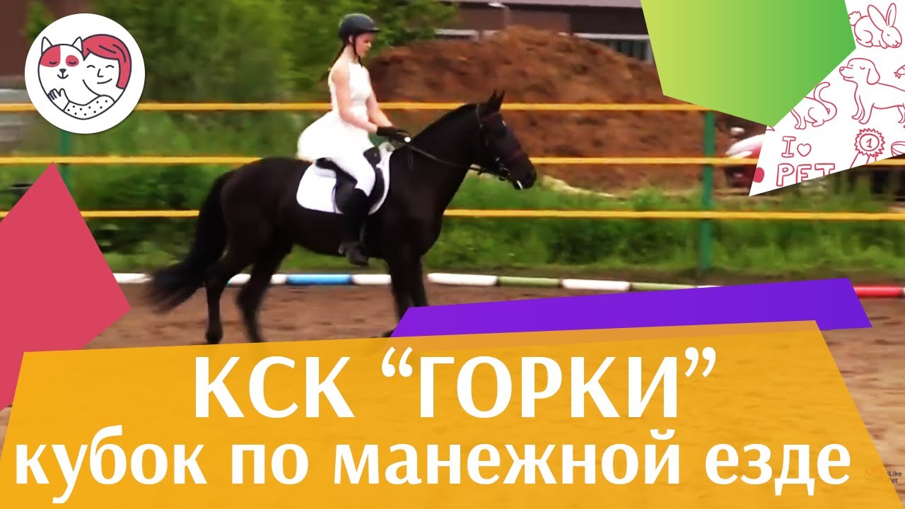 Летний кубок КСК Горки по манежной езде КЮР часть 11 на ilikepet