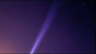 &#39;The Swallow&#39; (Moody Blues Cover)