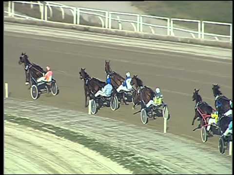 Trotto 17/12/2015 - prova di qualifica