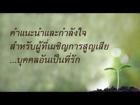 คลิกเพื่อดูคลิปวิดีโอ