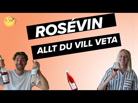 Rosévin | Allt du behöver veta