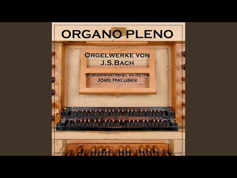 Passacaglia (BWV 582, Silbermann-Orgel zu Rötha)