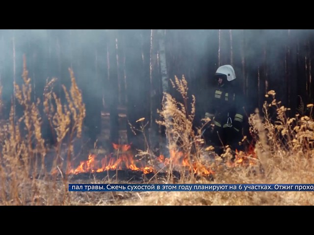 Огнеборцы уничтожают в округе сухостой