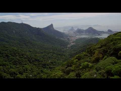Amazonia - Trailer
