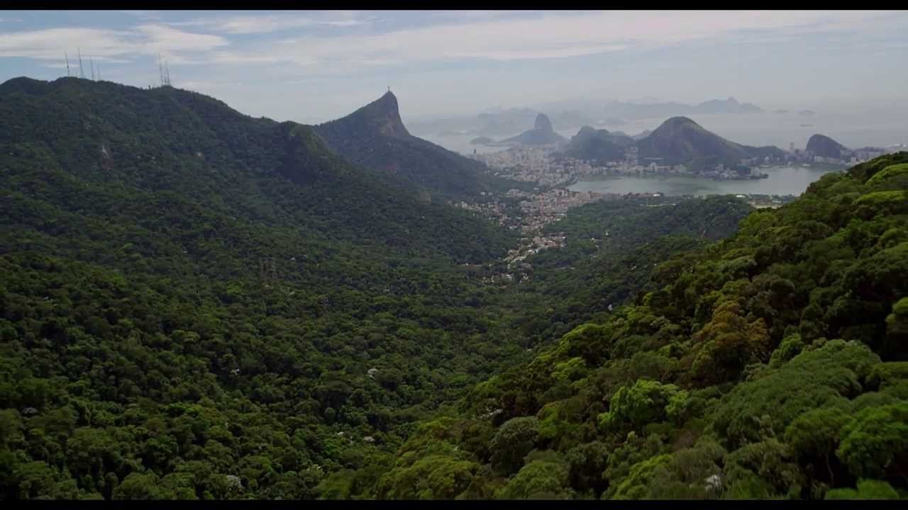 Trailer oficial de Amazônia