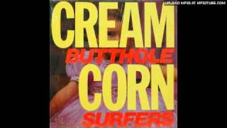 butthole surfers - comb