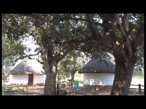 Balule Camp, Kruger Park - Mobile Version