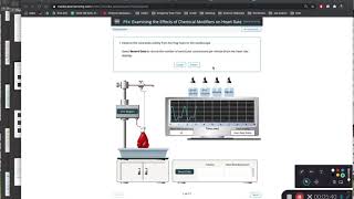 PhysioEx Ex 6 Activity 4