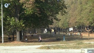 Кметът на Димитровград иска увеличение на дълга за ремонта на парк Марица