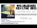 Noel Gallagher's High Flying Birds - Shoot A Hole ...