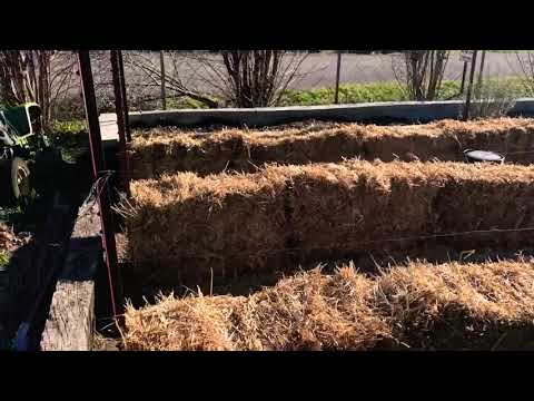 Setting Up The Straw Bale Garden -Day 1