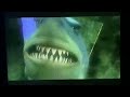 Finding Nemo 2003 Fish Just Like Us Only Flakier Tv Spot