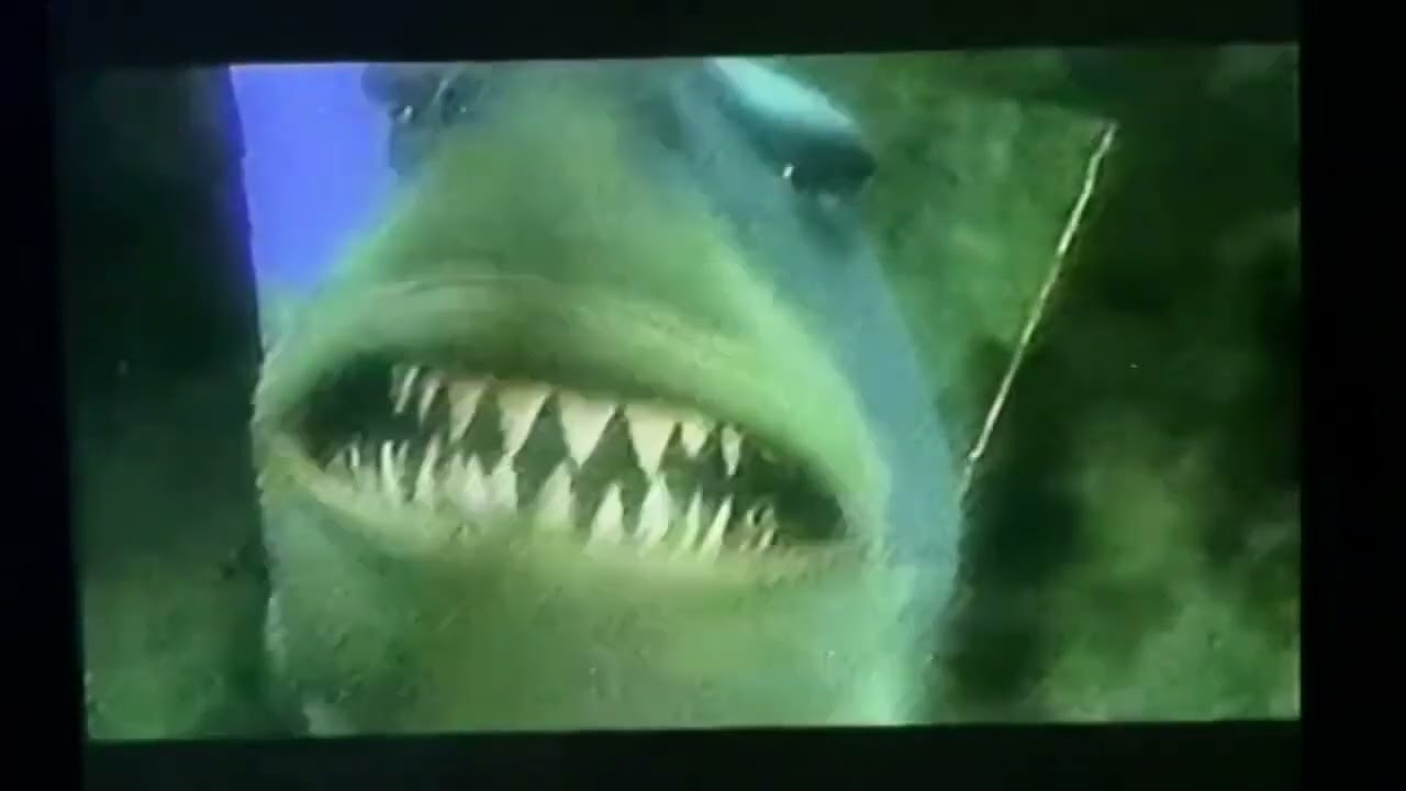 Finding Nemo (2003) Fish Just Like Us Only Flakier Tv Spot 