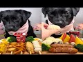 Black Dog Eating Food