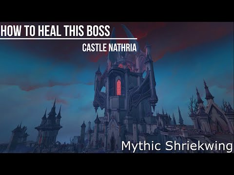 How to heal this boss: Shriekwing Mythic