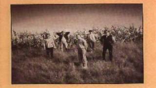 The Feelies - Let's go.wmv