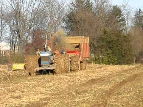 11 18 2011 chopping sorgum 1