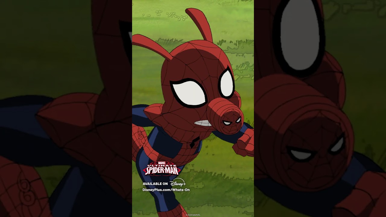 Pig Spider-Man 🐷🕷️🕸️