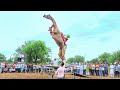 ऊंट ने किया तीन खाटों पर जम्प New Rajasthani Song 2025
