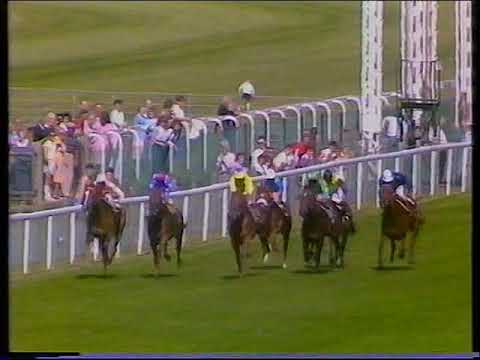 1988 St James's Palace Stakes Persian Heights Includes Replay