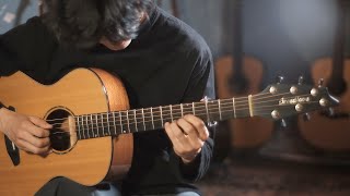 Video thumbnail for Breedlove Premier Concert / Played by Rakkhita by WM SOUND Guitars 원미사운드
