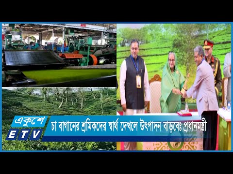 চা বাগানের শ্রমিকদের স্বার্থ দেখলে উৎপাদন বাড়বেঃ প্রধানমন্ত্রী