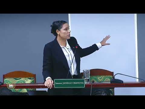 Senate Debates $70 Million CDB Loan for George Price Highway Upgrade PT 2